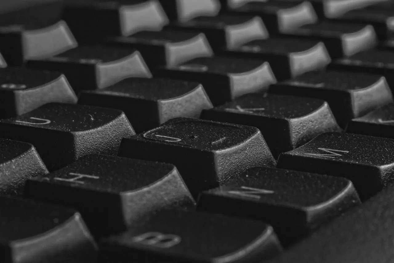 news-theme