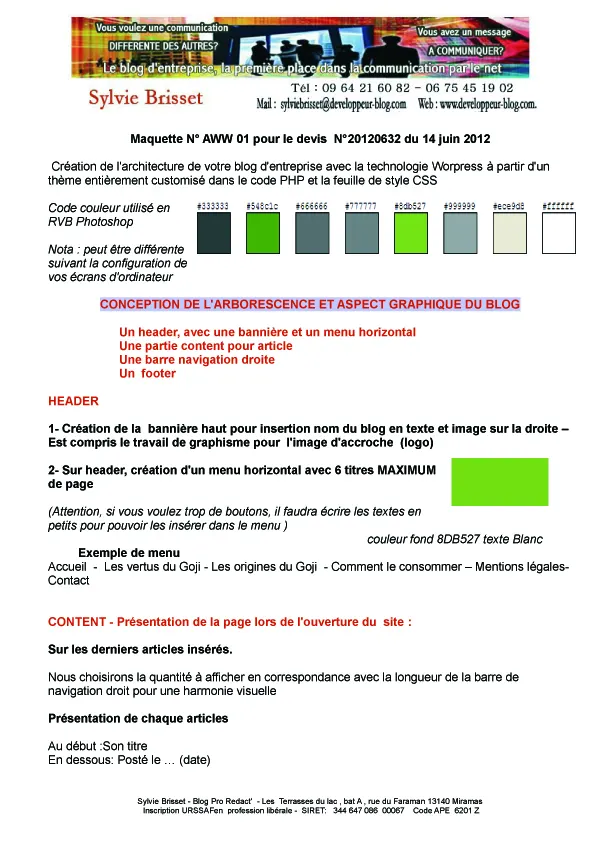Pourquoi faire payer la maquette d'un site ?