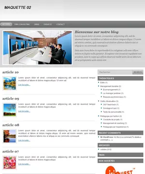 THEME 02 developpeur de blog