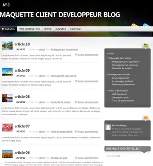 THEME 03 developpeur de blog