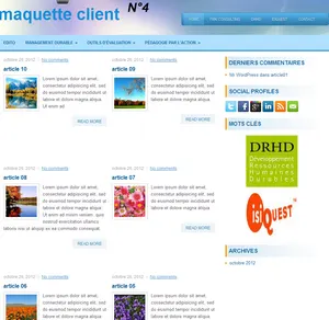 THEME 04 pour developpeur blog fmk consulting