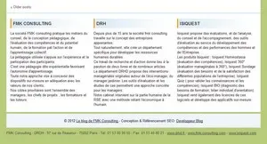 maquette présentation du bas du blog de consultant