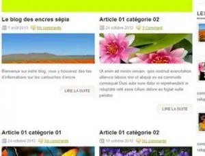 maquette du  blog de la  boutique en ligne
